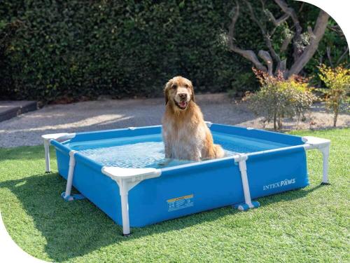 Каркасный бассейн для собак фильтр-насос, скиммер 152х152х30см 1шт/упак 48402 - фото 1